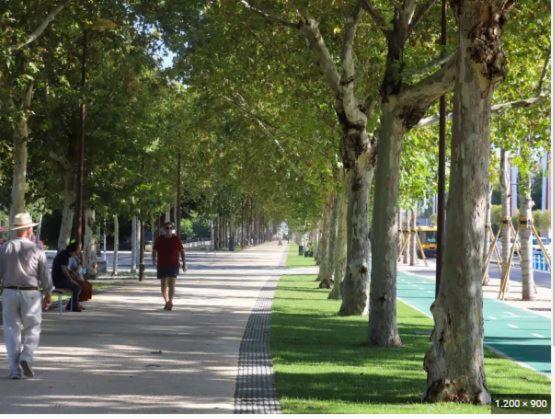 Alleanza, Aires De Guadalquivir Севилья Экстерьер фото
